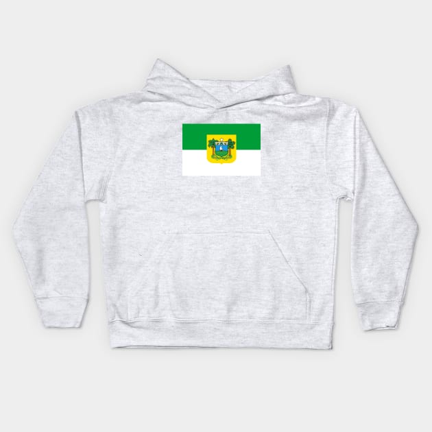 Flag of Rio Grande do Norte Kids Hoodie by brigadeiro